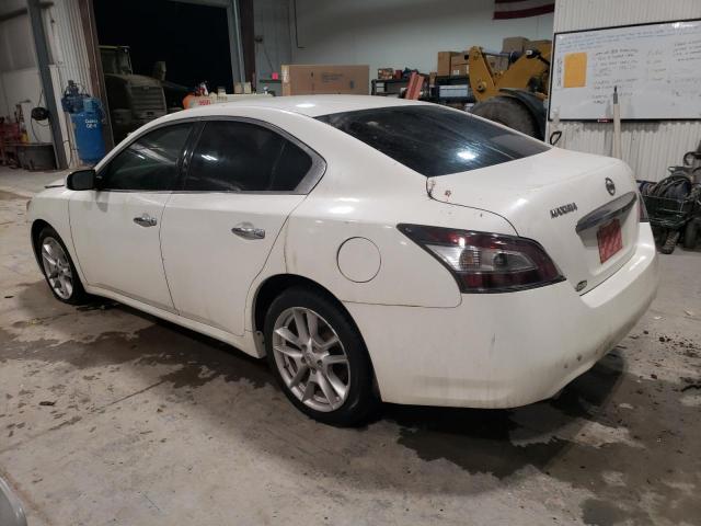 1N4AA5AP5EC488268 - 2014 NISSAN MAXIMA S WHITE photo 2