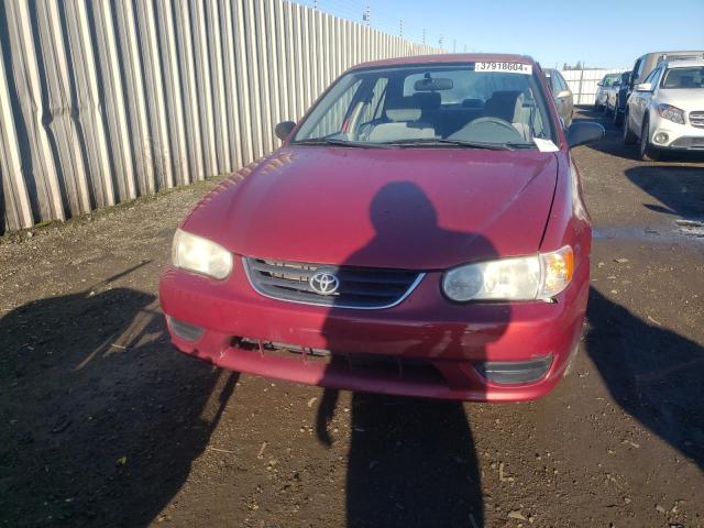 1NXBR12E72Z606996 - 2002 TOYOTA COROLLA CE BURGUNDY photo 5