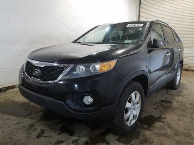 5XYKTCA13BG059436 - 2011 KIA SORENTO BASE  photo 2