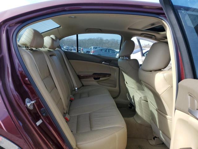 1HGCP36879A027681 - 2009 HONDA ACCORD EXL BURGUNDY photo 10