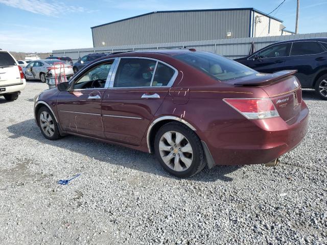 1HGCP36879A027681 - 2009 HONDA ACCORD EXL BURGUNDY photo 2