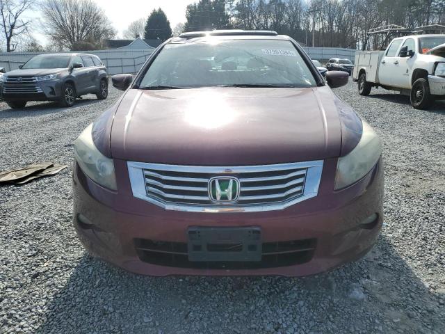 1HGCP36879A027681 - 2009 HONDA ACCORD EXL BURGUNDY photo 5