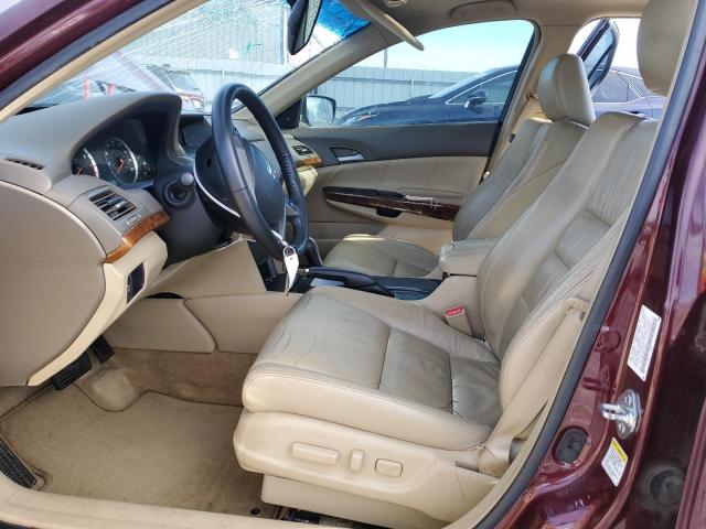 1HGCP36879A027681 - 2009 HONDA ACCORD EXL BURGUNDY photo 7