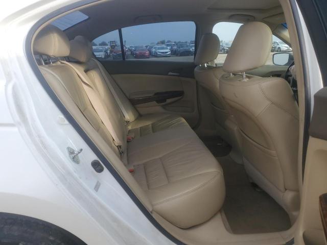 1HGCP36869A038770 - 2009 HONDA ACCORD EXL WHITE photo 10