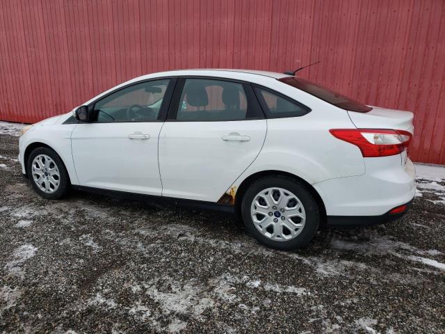 1FADP3F20DL365232 - 2013 FORD FOCUS SE WHITE photo 2