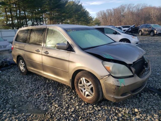 5FNRL38775B023379 - 2005 HONDA ODYSSEY EXL TAN photo 4