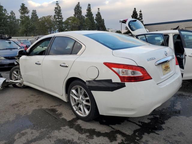 1N4AA51E39C840798 - 2009 NISSAN MAXIMA S WHITE photo 2