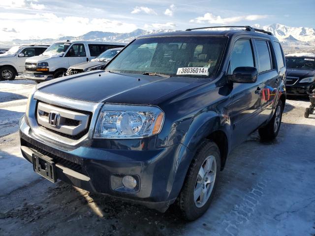 5FNYF4H69AB023376 - 2010 HONDA PILOT EXL BLUE photo 1