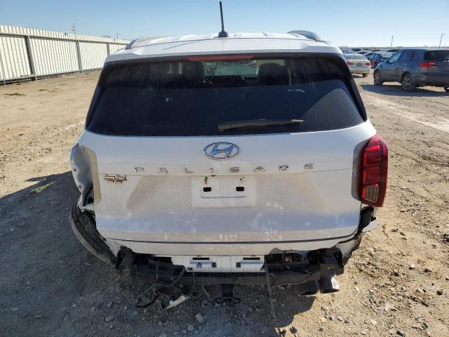 KM8R34HE4LU061916 - 2020 HYUNDAI PALISADE SEL WHITE photo 6