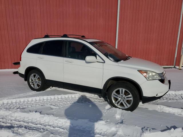 5J6RE4H72BL804443 - 2011 HONDA CR-V EXL WHITE photo 4