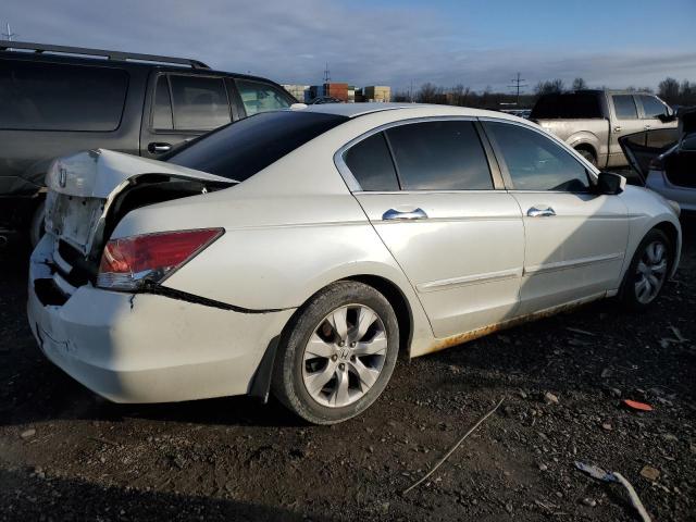 1HGCP36859A050800 - 2009 HONDA ACCORD EXL WHITE photo 3