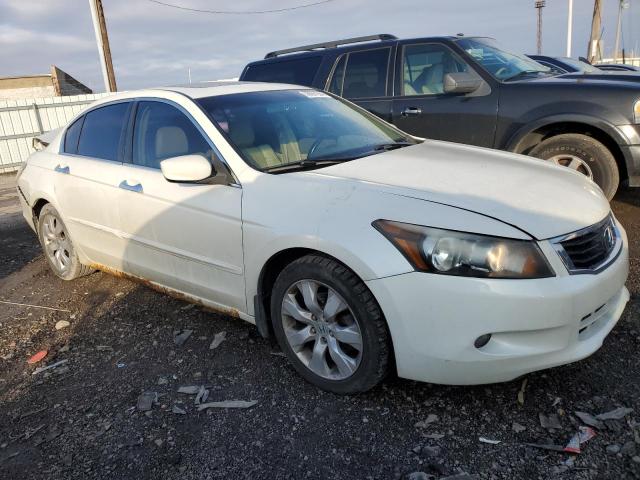 1HGCP36859A050800 - 2009 HONDA ACCORD EXL WHITE photo 4