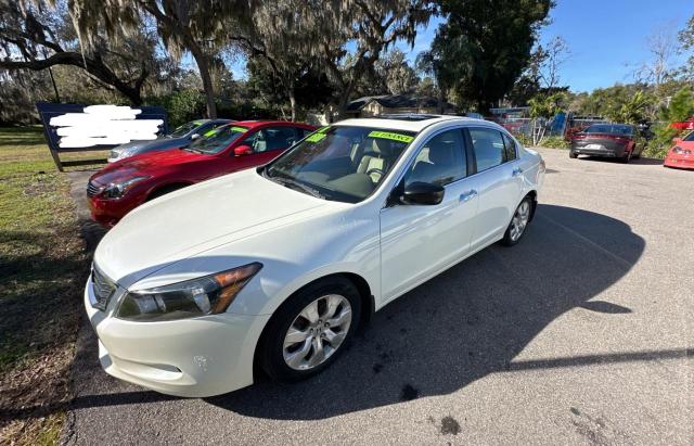 1HGCP36858A036233 - 2008 HONDA ACCORD EXL WHITE photo 2