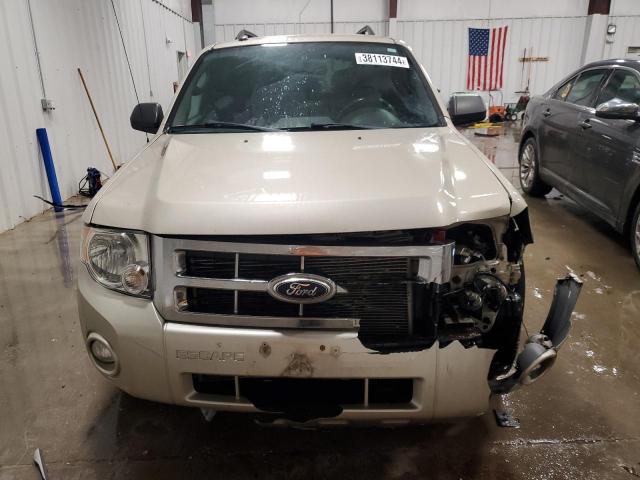 1FMCU9D79BKB34229 - 2011 FORD ESCAPE XLT GOLD photo 5