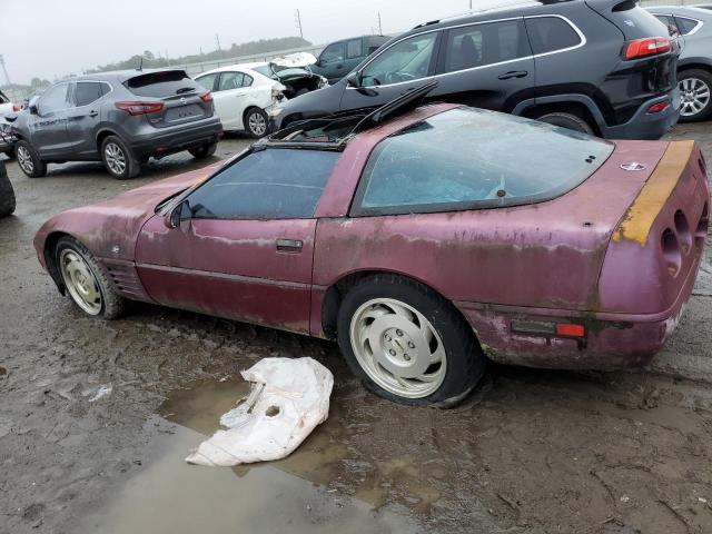 1G1YY23P5P5108393 - 1993 CHEVROLET CORVETTE BURGUNDY photo 2