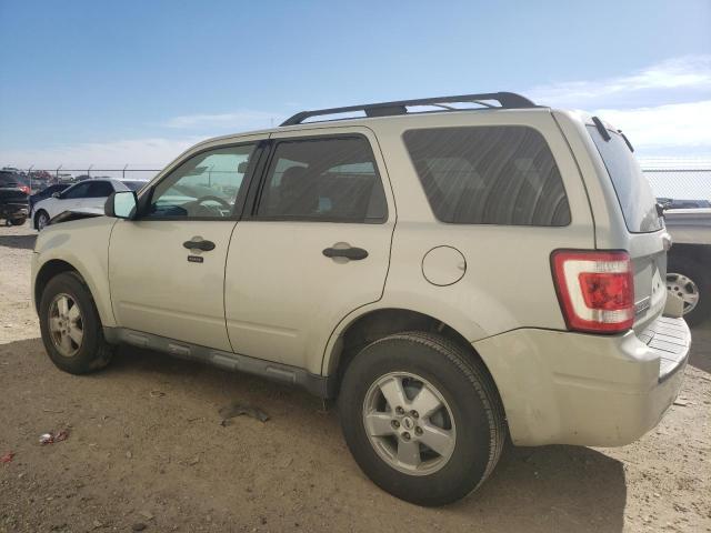 1FMCU03779KD06717 - 2009 FORD ESCAPE XLT TAN photo 2