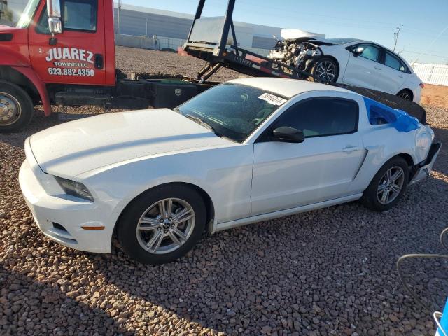 1ZVBP8AM7E5254915 - 2014 FORD MUSTANG WHITE photo 1