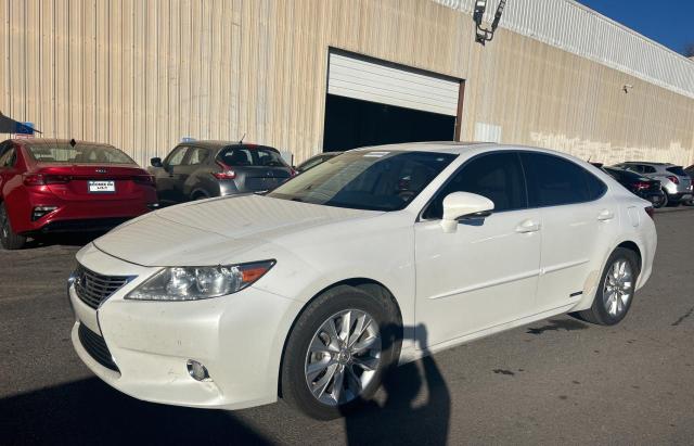 JTHBW1GG2D2013339 - 2013 LEXUS ES 300H WHITE photo 2