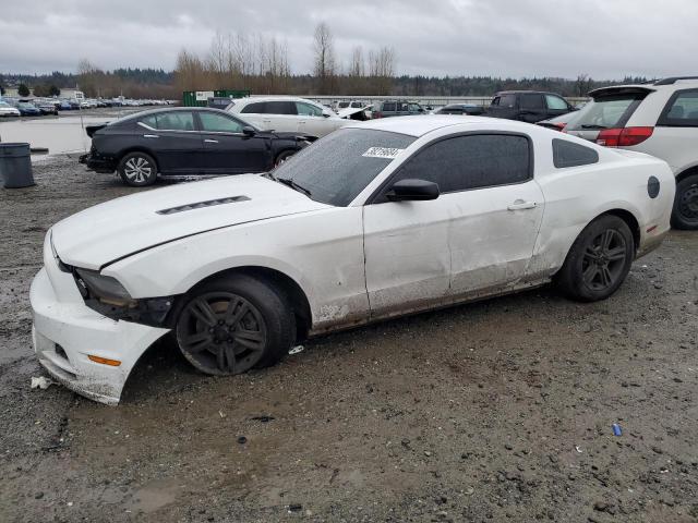 1ZVBP8AM7E5241713 - 2014 FORD MUSTANG WHITE photo 1