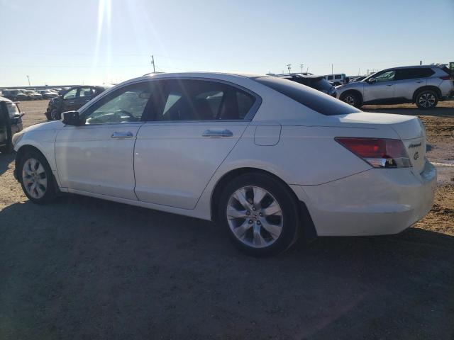 1HGCP36829A009444 - 2009 HONDA ACCORD EXL WHITE photo 2