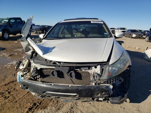 1HGCP36829A009444 - 2009 HONDA ACCORD EXL WHITE photo 5