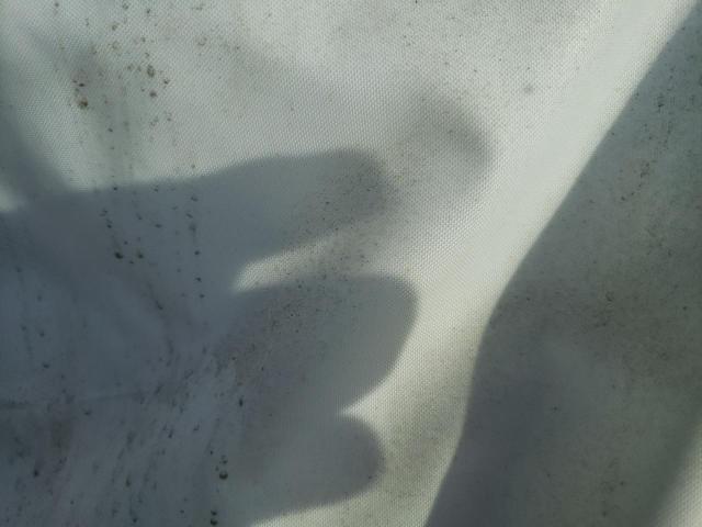 5FNYF7H56MB012073 - 2021 HONDA PASSPORT E 灰色 照片 11