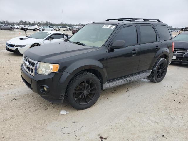 2011 FORD ESCAPE XLT, 