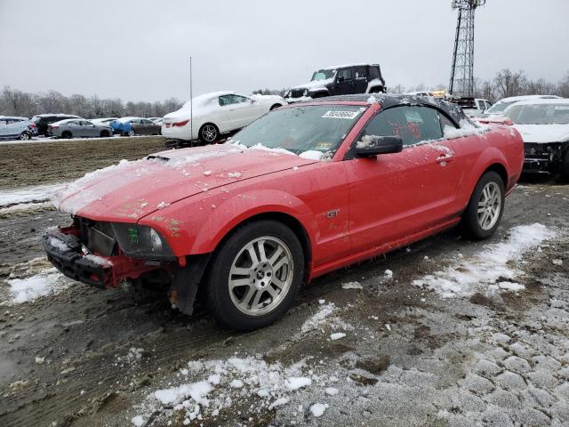 1ZVFT85H065231245 - 2006 FORD MUSTANG GT RED photo 1