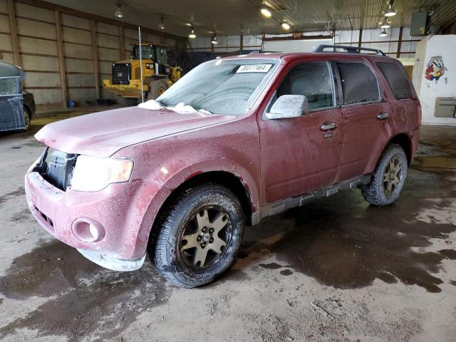 1FMCU0D73AKC48253 - 2010 FORD ESCAPE XLT RED photo 1