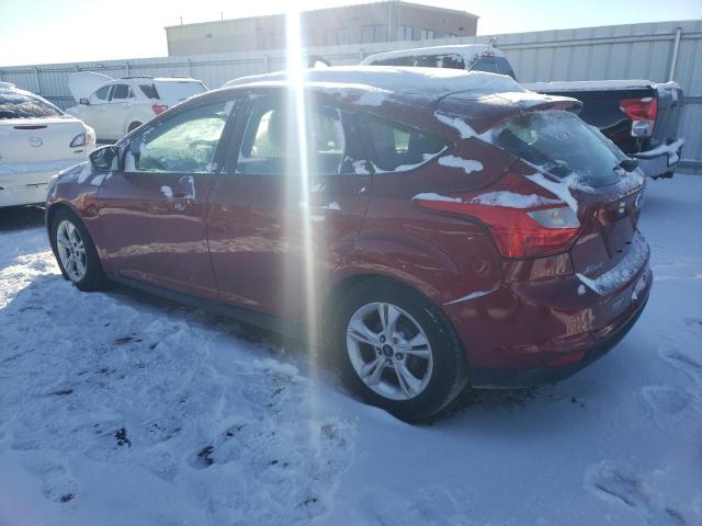 1FADP3K22EL436244 - 2014 FORD FOCUS SE MAROON photo 2