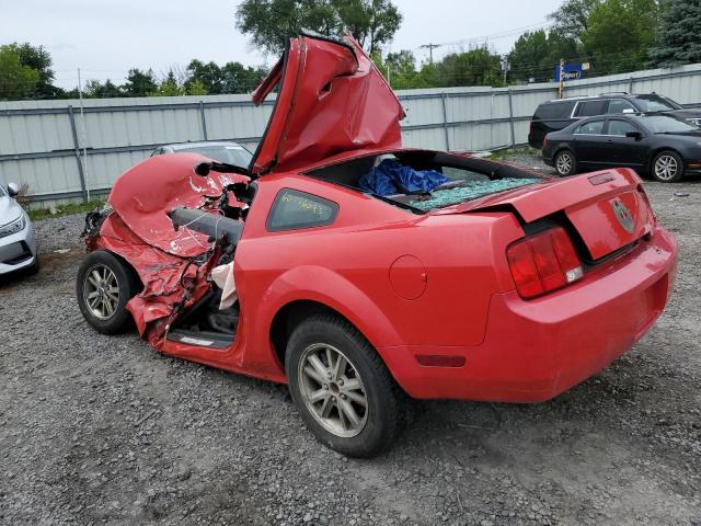 1ZVHT80N075326461 - 2007 FORD MUSTANG RED photo 2