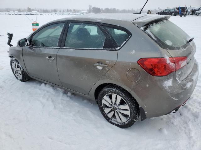 KNAFU5A21D5672022 - 2013 KIA FORTE EX GRAY photo 2