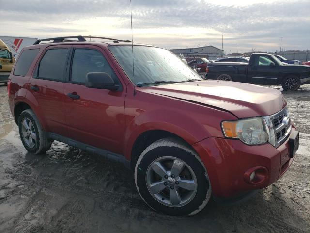 1FMCU0DG2CKB31086 - 2012 FORD ESCAPE XLT RED photo 4