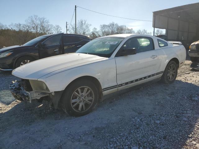 1ZVFT80N455156979 - 2005 FORD MUSTANG WHITE photo 1