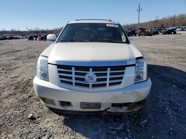 1GYFC13289R256829 - 2009 CADILLAC ESCALADE CREAM photo 5