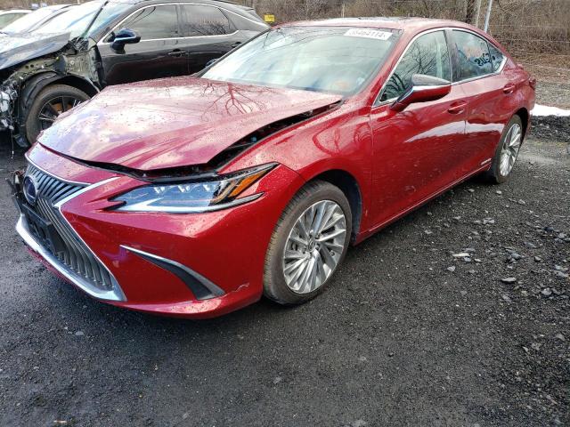 58AE21B12LU006167 - 2020 LEXUS ES 300H LUXURY RED photo 1