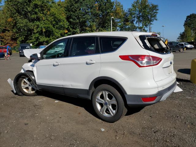 1FMCU9GX6EUB65510 - 2014 FORD ESCAPE SE WHITE photo 2