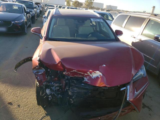 JTJBJRBZ3K2124385 - 2019 LEXUS NX 300H BURGUNDY photo 5