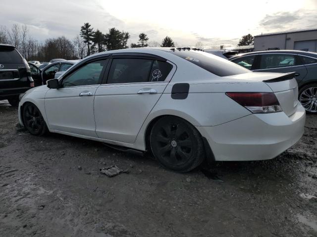 1HGCP36828A083624 - 2008 HONDA ACCORD EXL WHITE photo 2