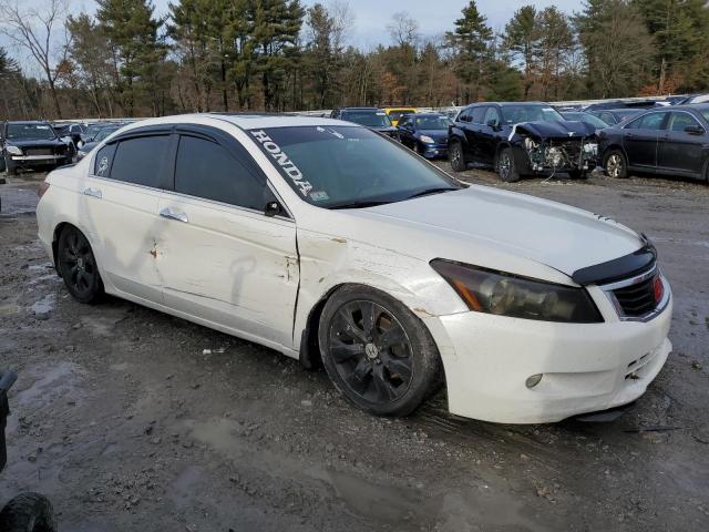 1HGCP36828A083624 - 2008 HONDA ACCORD EXL WHITE photo 4