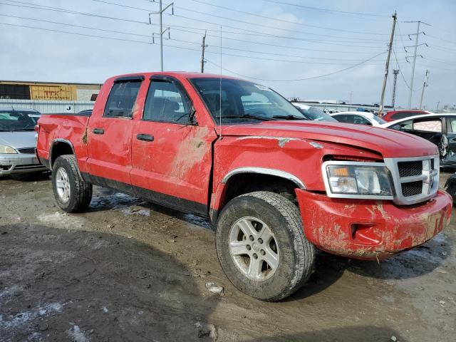 1D7RW3GK6BS598770 - 2011 DODGE DAKOTA SLT RED photo 4