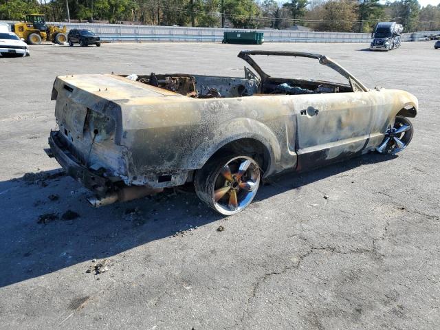 1ZVFT85H065215613 - 2006 FORD MUSTANG GT BURN photo 3