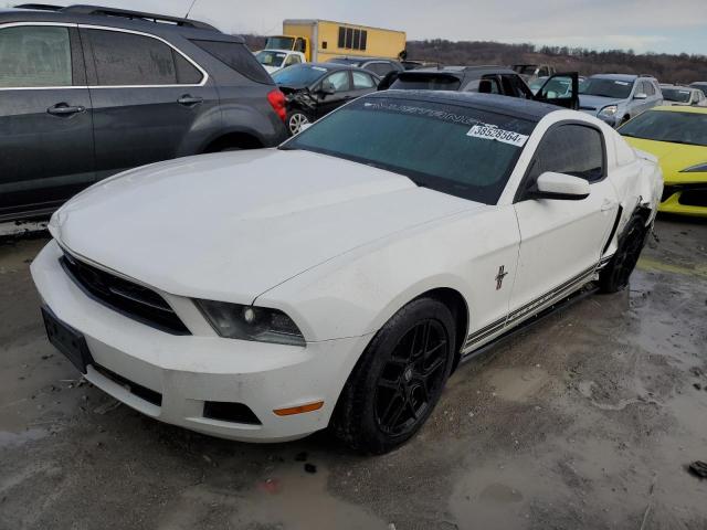 1ZVBP8AN1A5165702 - 2010 FORD MUSTANG WHITE photo 1