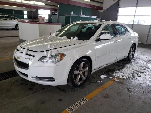 1G1ZC5EU0BF350292 - 2011 CHEVROLET MALIBU 1LT Blanc photo 1