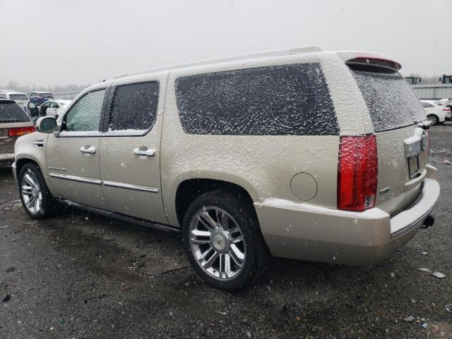 1GYS4KEF0BR231110 - 2011 CADILLAC ESCALADE ESV PLATINUM ბეჟი ფოტო 2