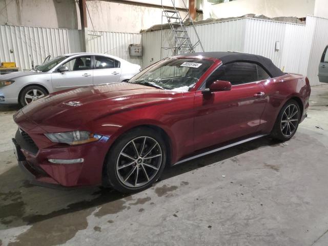 1FATP8UH6K5159883 - 2019 FORD MUSTANG RED photo 1