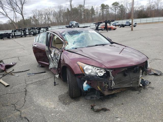 1HGCP3F88CA024862 - 2012 HONDA ACCORD EXL BURGUNDY photo 4