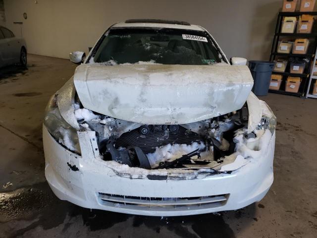 1HGCP26779A010851 - 2009 HONDA ACCORD EX WHITE photo 5