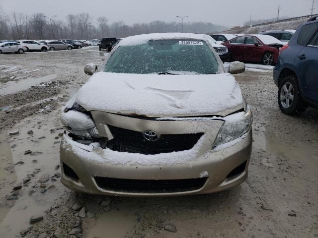 1NXBU40E49Z164577 - 2009 TOYOTA COROLLA BASE GOLD photo 5