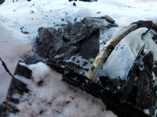 2A4RR5DX3AR441561 - 2010 CHRYSLER TOWN & COU TOURING დამწვარი ფოტო 9